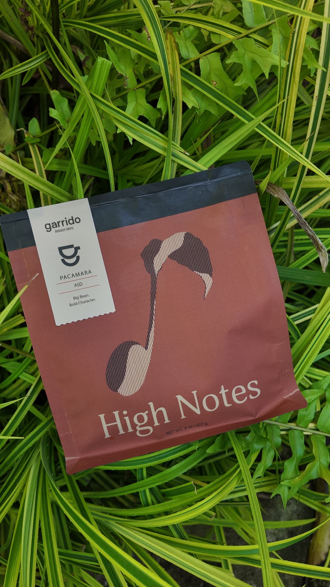 Bolsa High Notes — Pacamara ASD