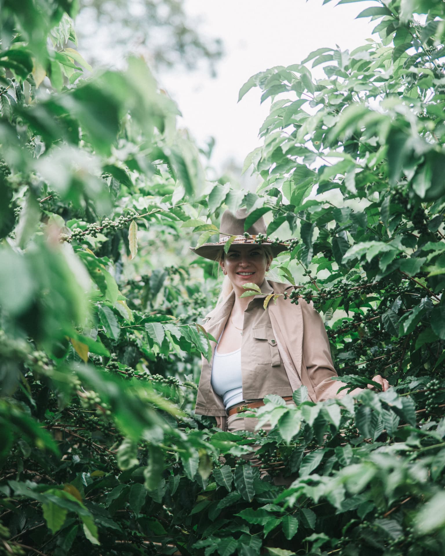 La familia Garrido entre los cafetos cargados de fruto